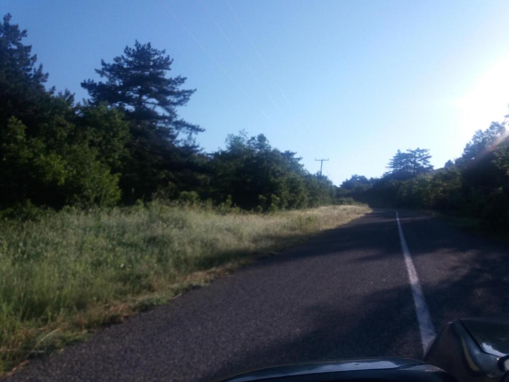 Panorama Kakopleyri Kalabakas photo 2