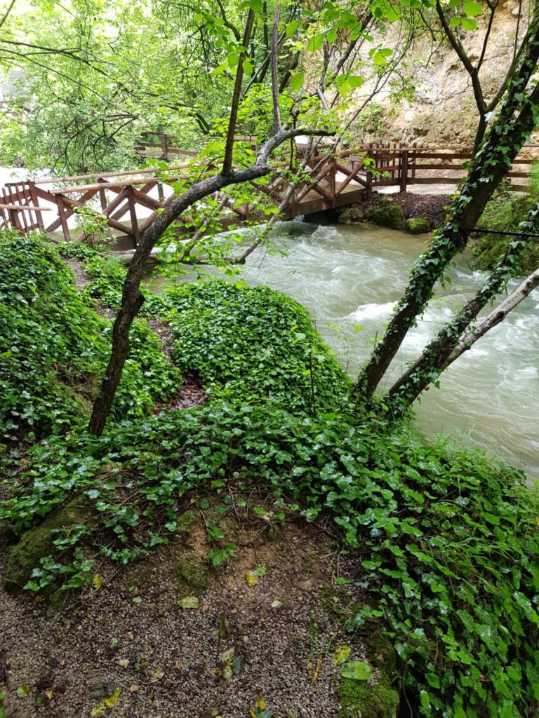Guest House Lisinski Raj photo 2