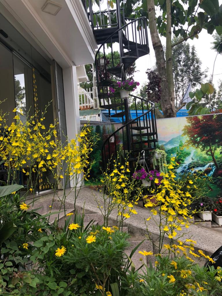 Thu Linh Guesthouse