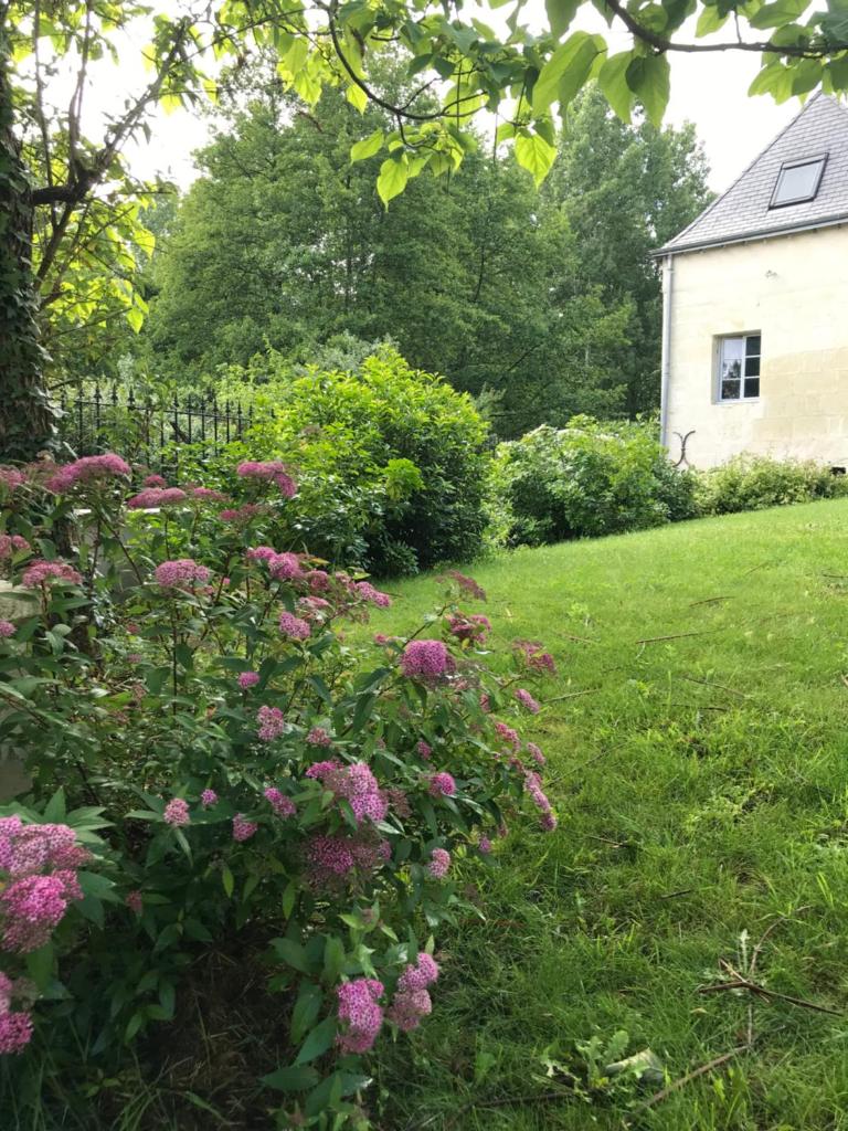 Gite Nature Loire et Châteaux 3* photo 3