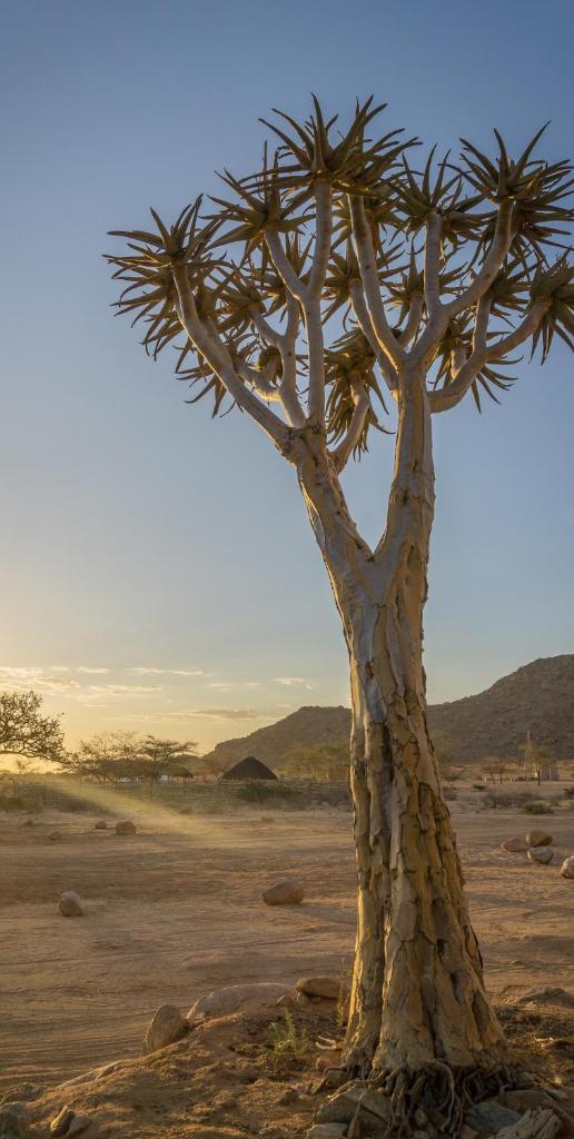 Solitaire Desert Farm photo 4