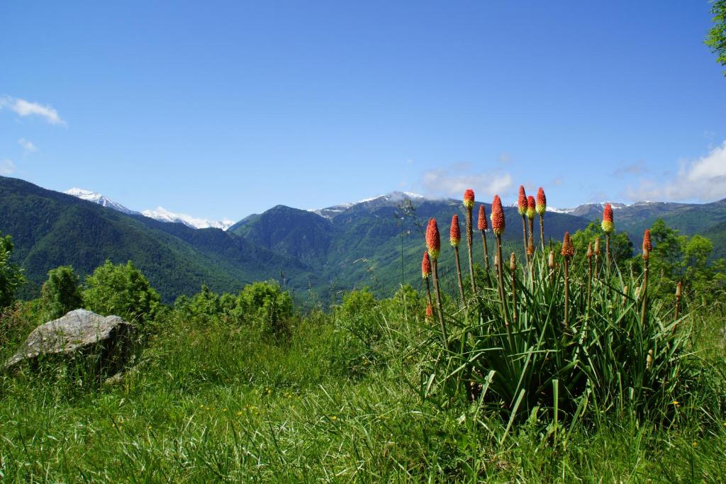 Chalets "les gentianes"