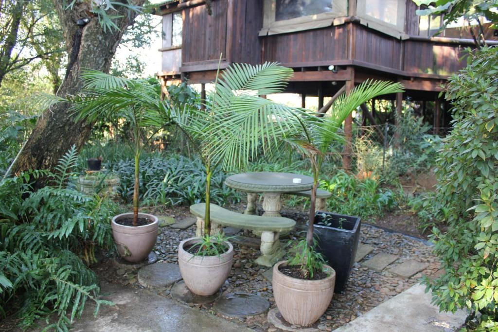 The Sabie Town House Guest Lodge photo 3