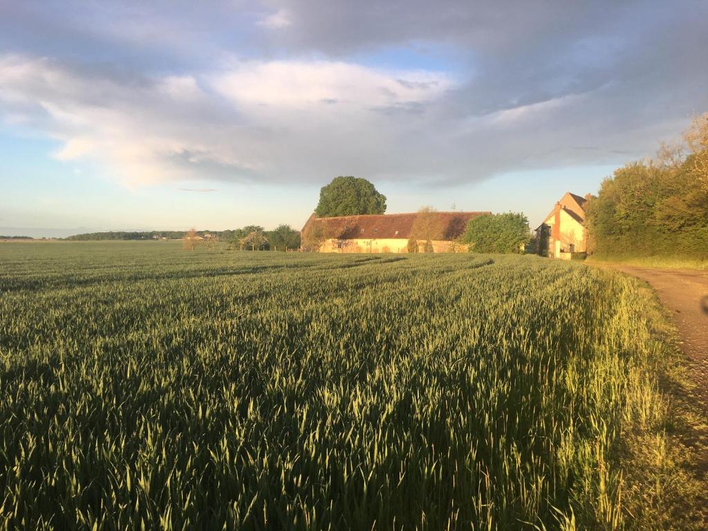 Le Grand Coudreau photo 4