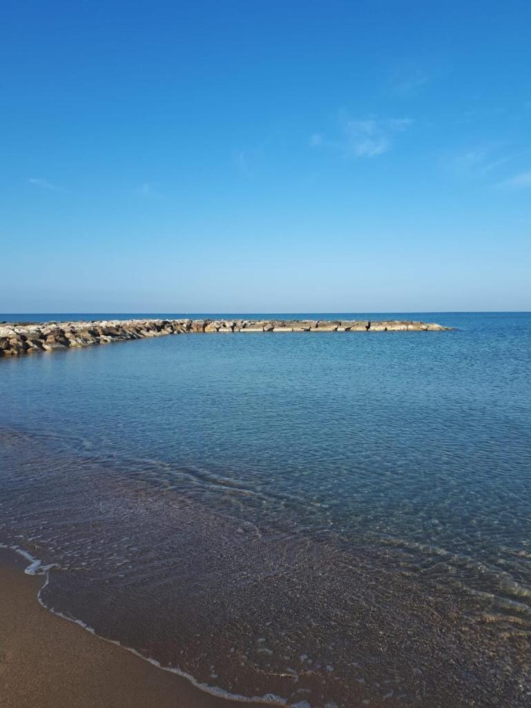 Il canto delle Sirene photo 4