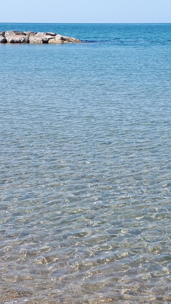 Il canto delle Sirene photo 3