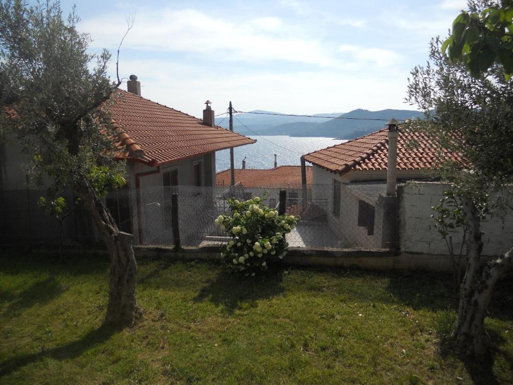 Dora's House comfortable apartment with a yard and view photo 4