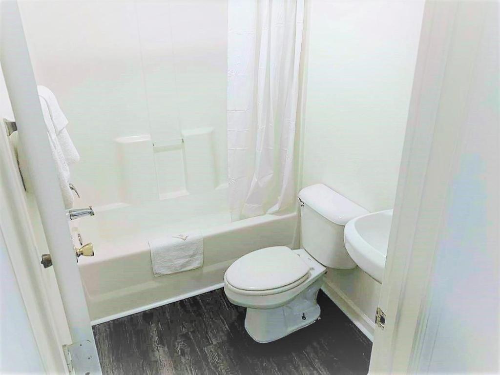 Stay Lodge Anderson photo 3
