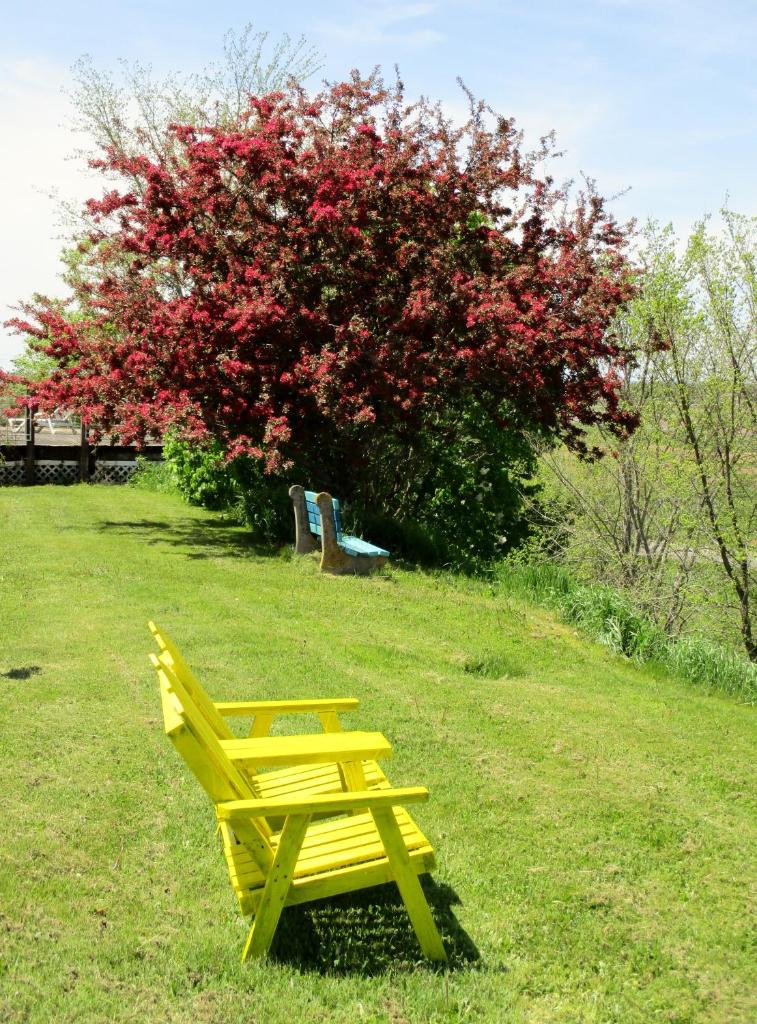 Tidal Bore Inn photo 3