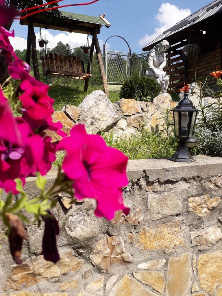Apartman Darija photo 4