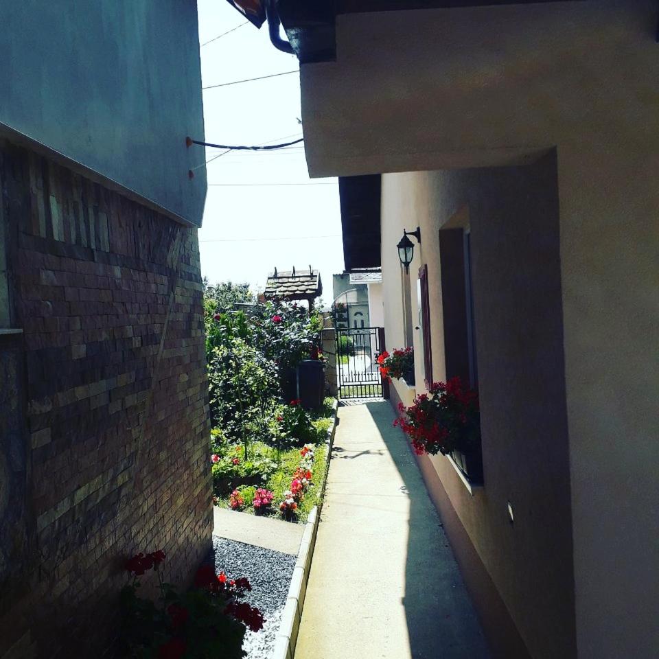 Apartman Darija photo 3
