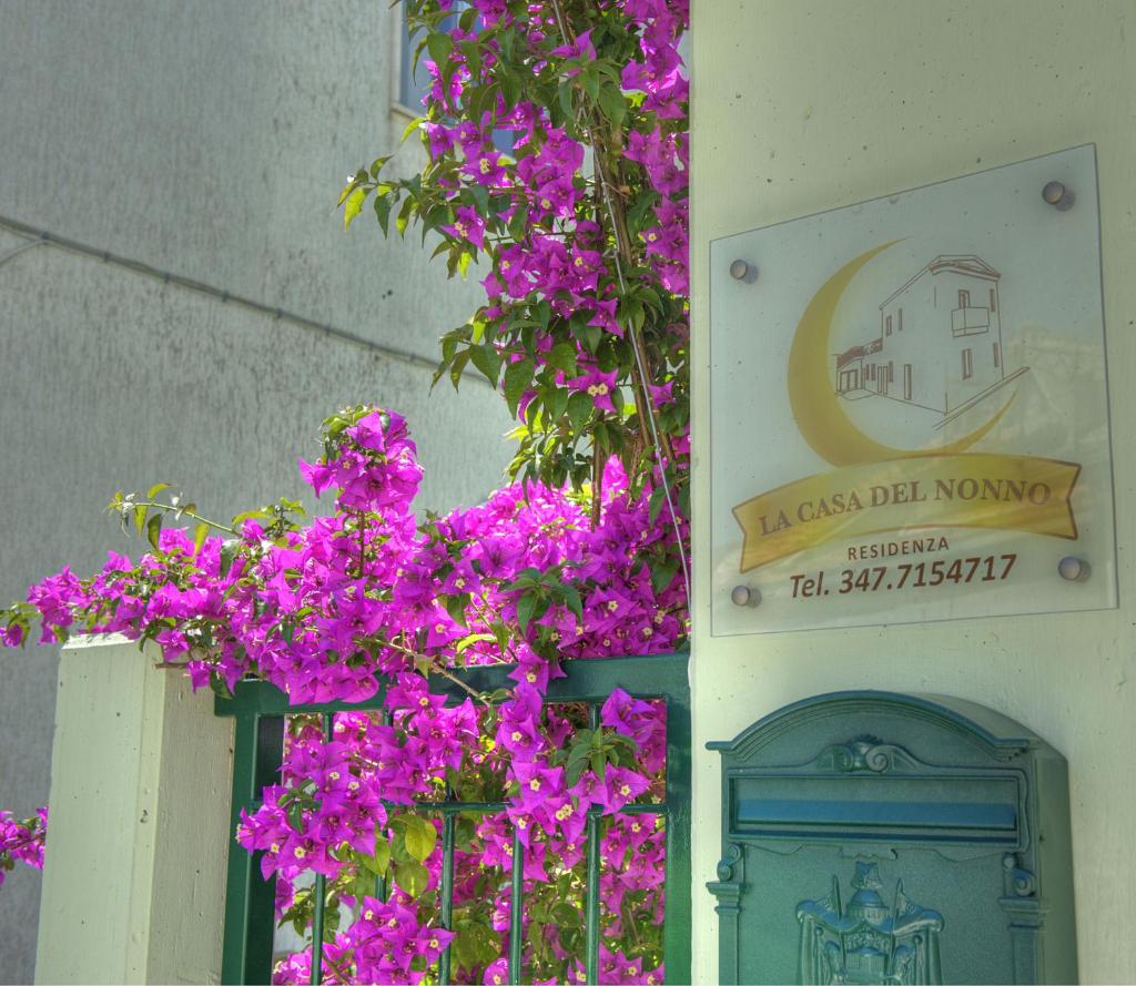La Casa Del Nonno photo 3