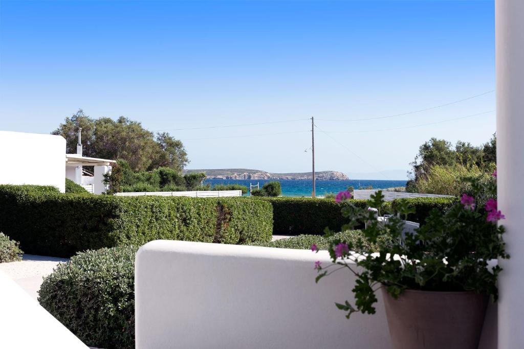 Golden Sand Paros photo 2