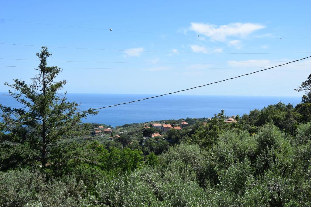 Tra gli ulivi da Giacinta photo 3