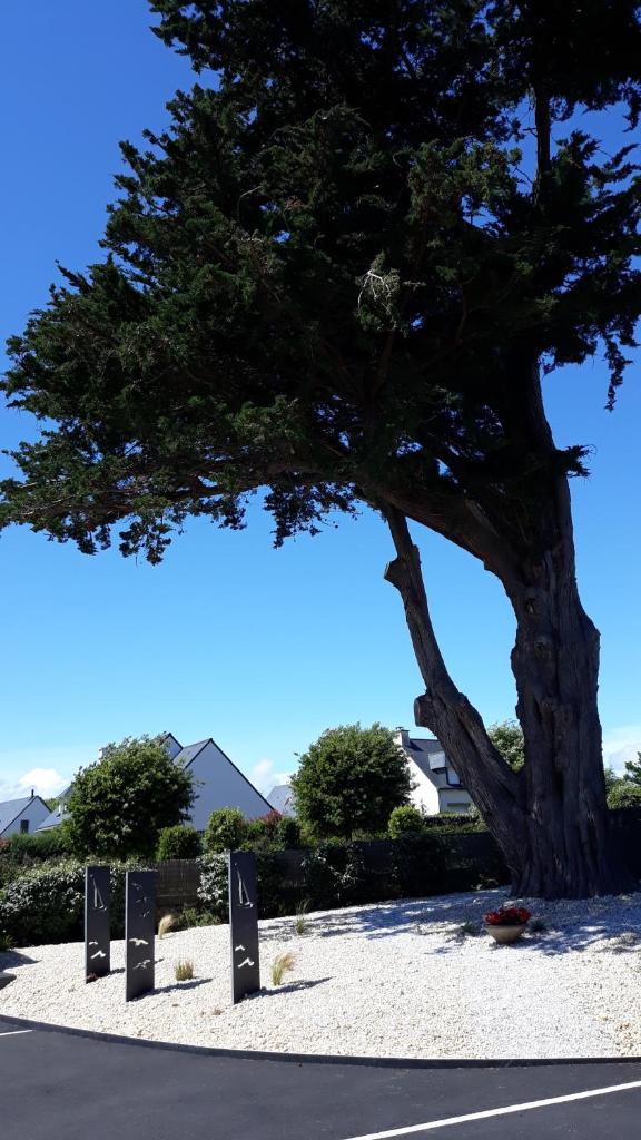 Auprès de mon arbre photo 4