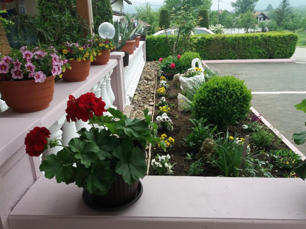 Guesthouse Tomas photo 4