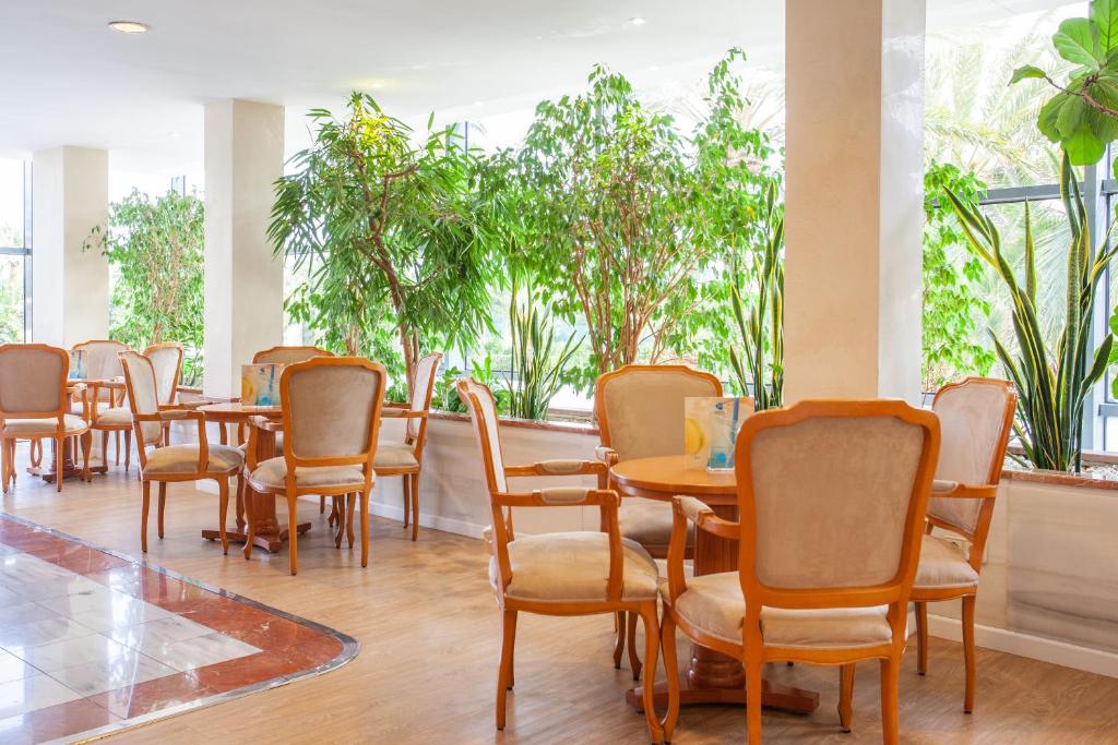 Grupotel Taurus Park photo 4