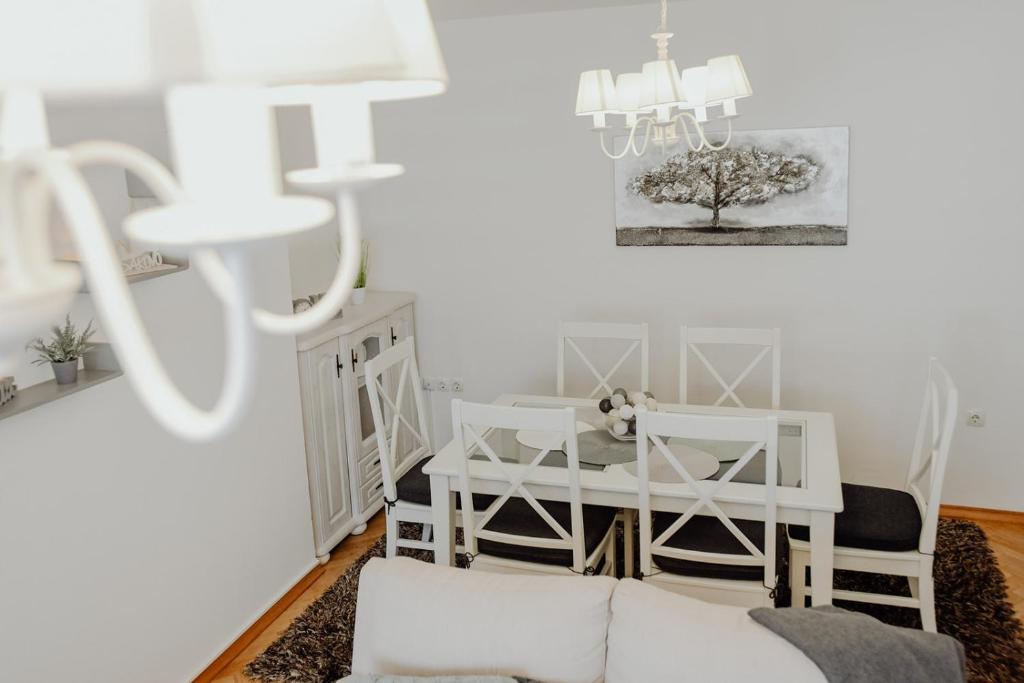 Apartman M5 photo 4