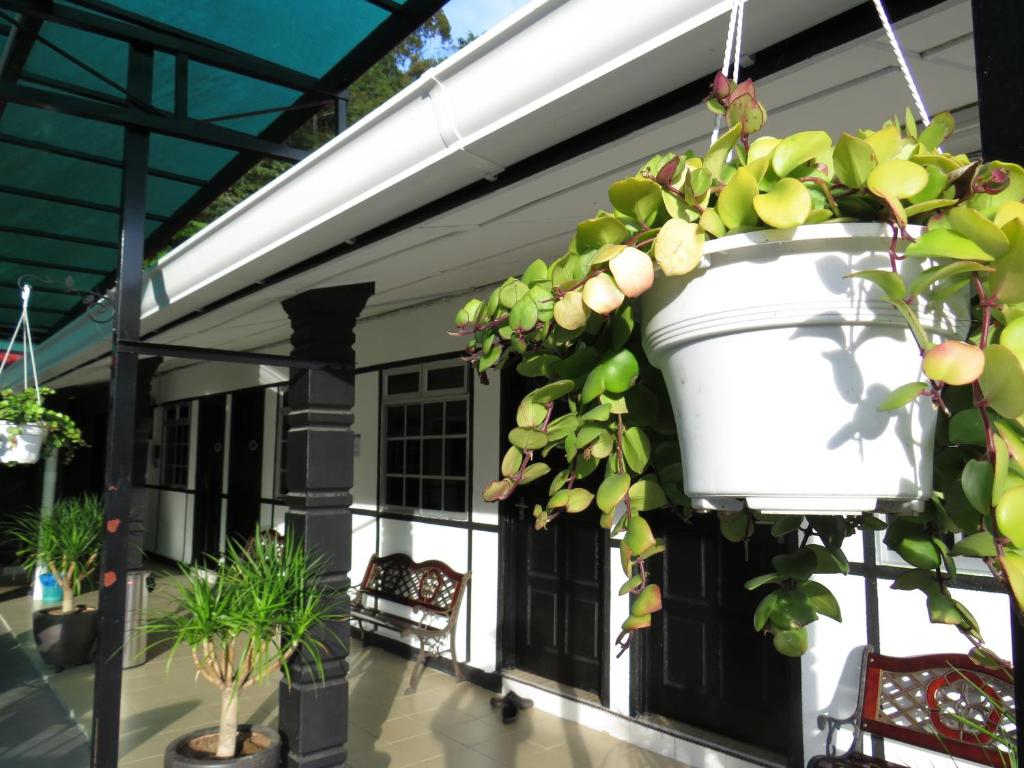 Darulmakmur Chalet photo 3