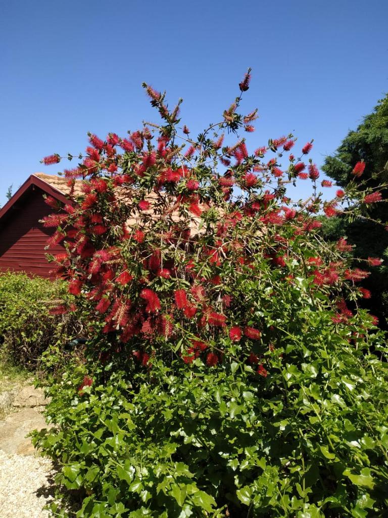Cabin In The View photo 2