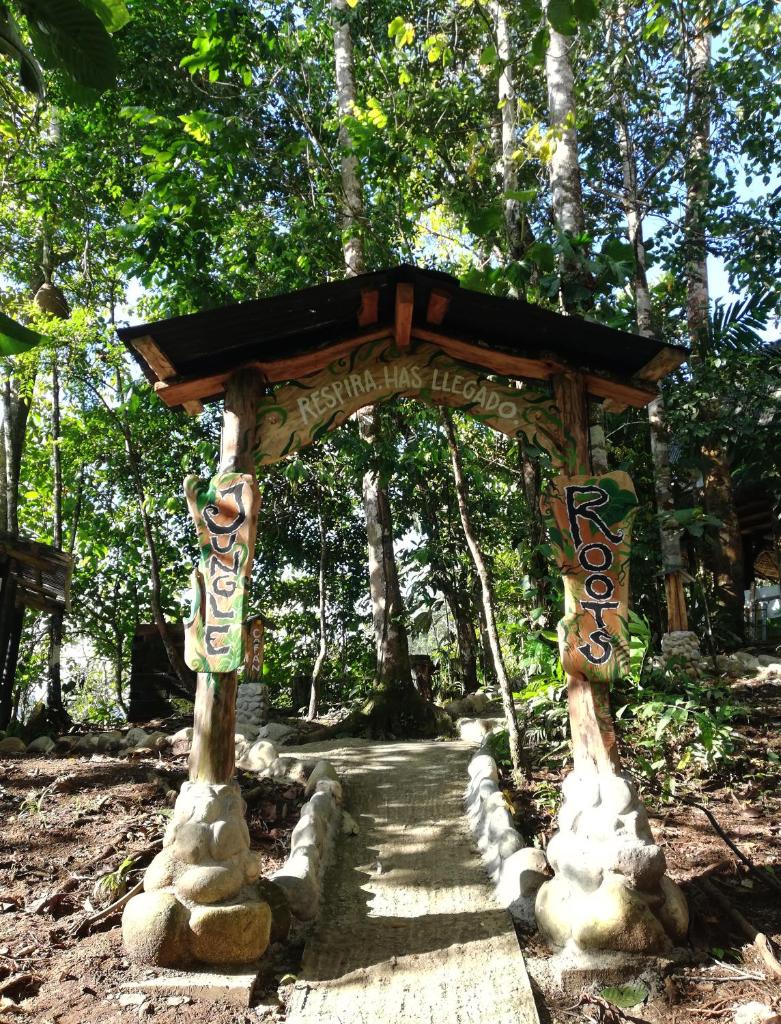 Jungle Roots photo 1