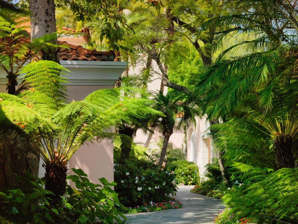 Двухместный (Улучшенный номер с кроватью размера «king-size»), Hotel Bel-Air - Dorchester Collection