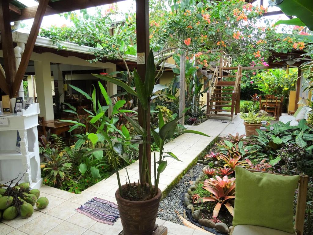 Hotel Pura Vida photo 3