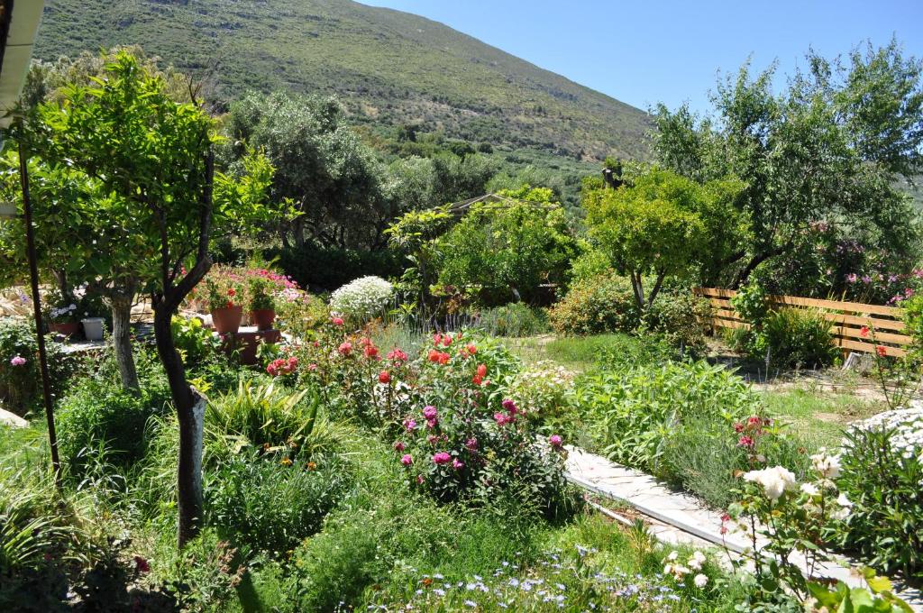 Casa Bella Vita photo 3