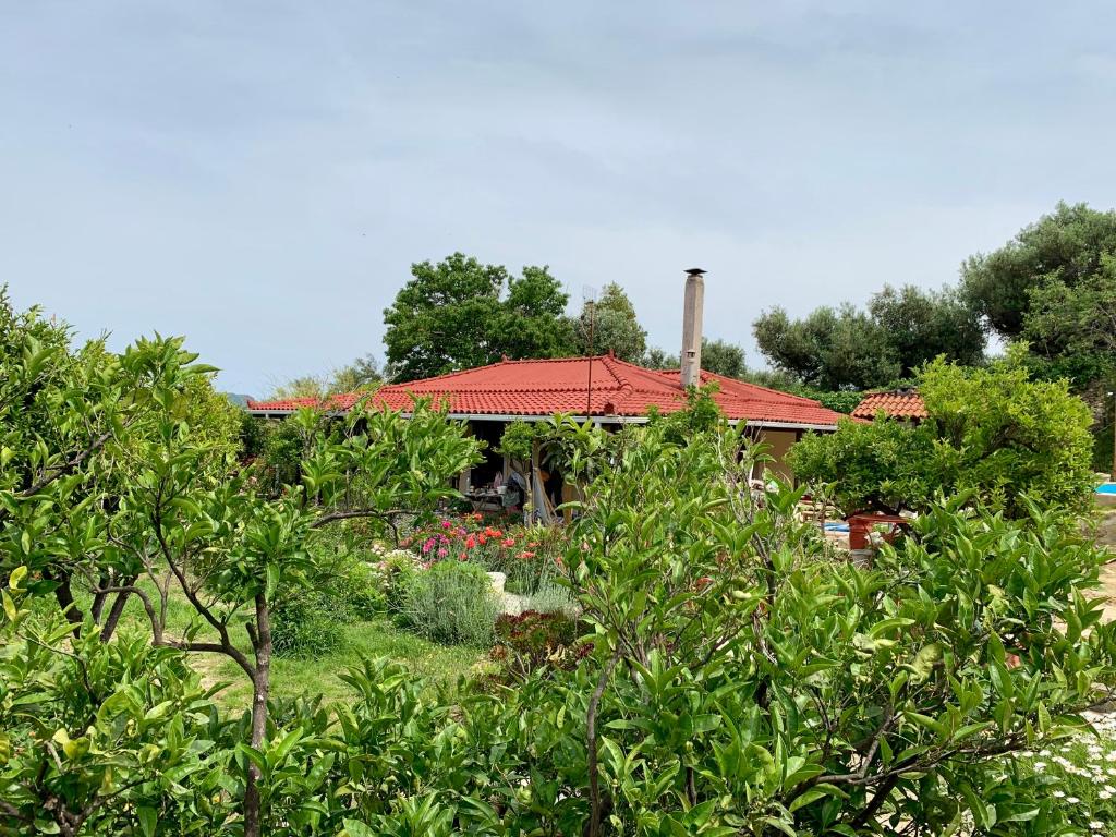 Casa Bella Vita photo 1