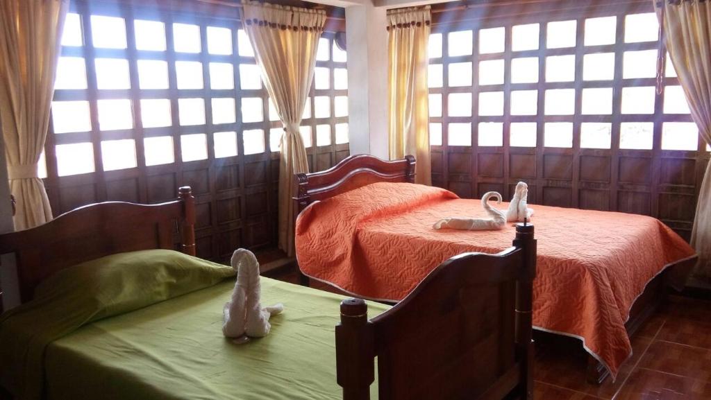 Chez Alicia Hostal photo 1