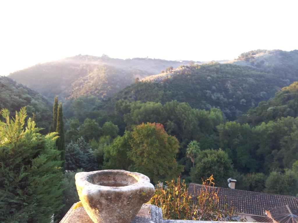 La Grimaudière photo 4