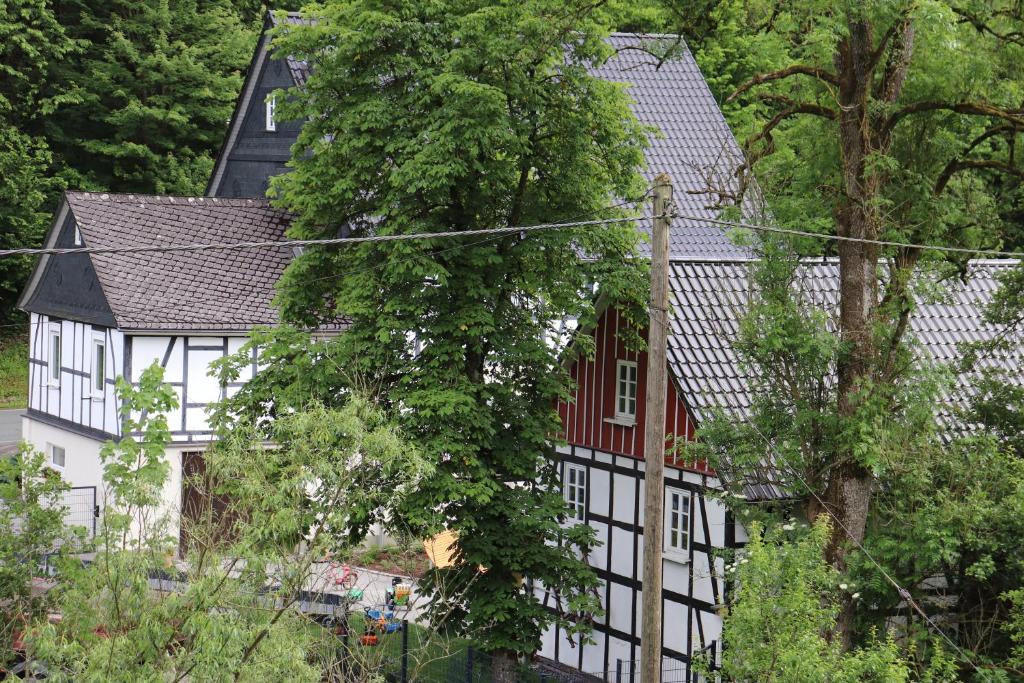 Ferienhof Donner an der Wenne photo 4