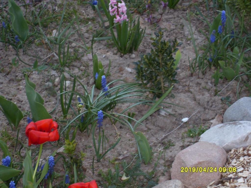 U Heleny i Piotra pokoje goscinne photo 2