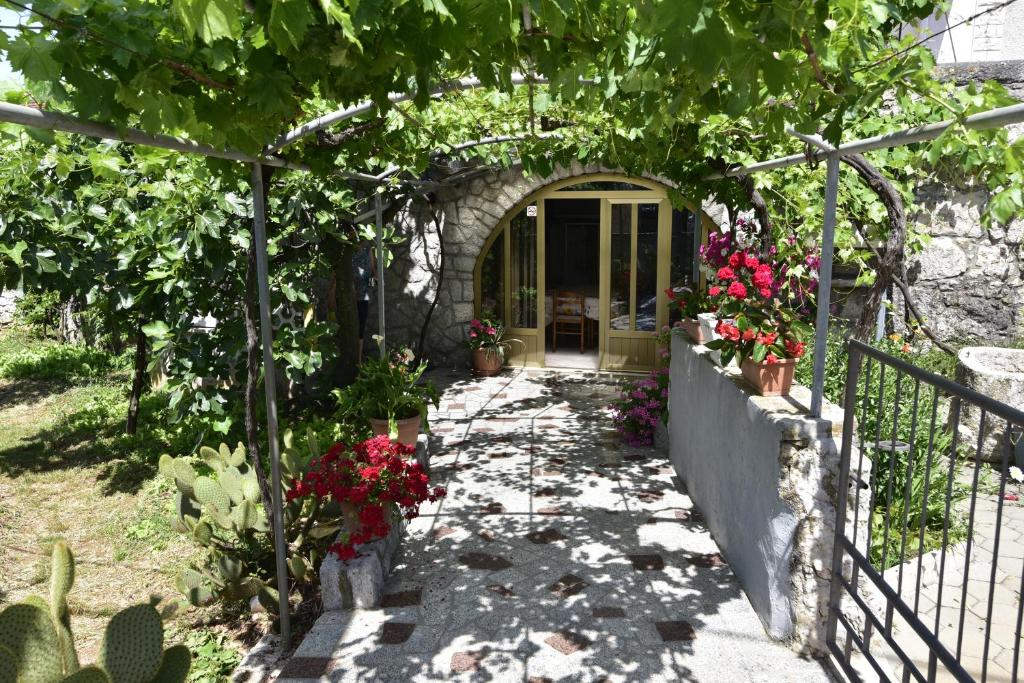 Guest house Tom photo 4
