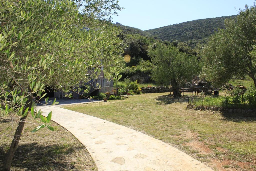 Apartments Bubica photo 4