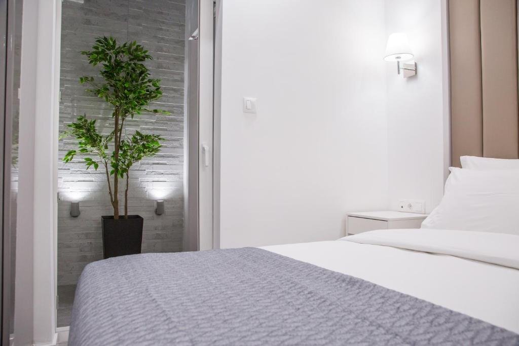 Veria Luxury Suite photo 3