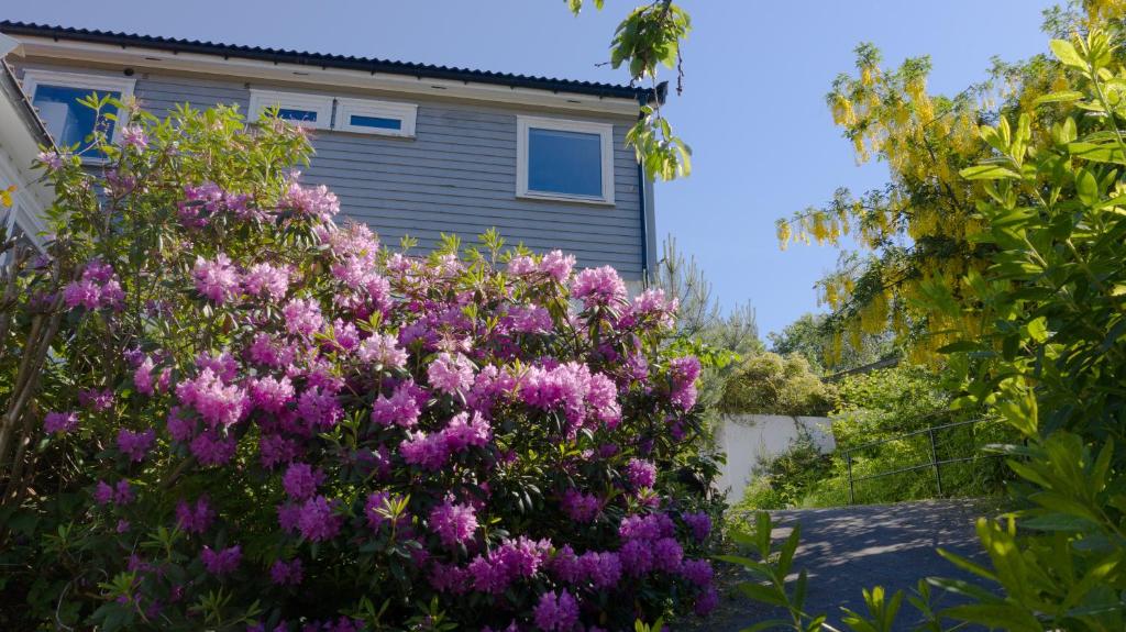 Krossmyrhill. Great house photo 1