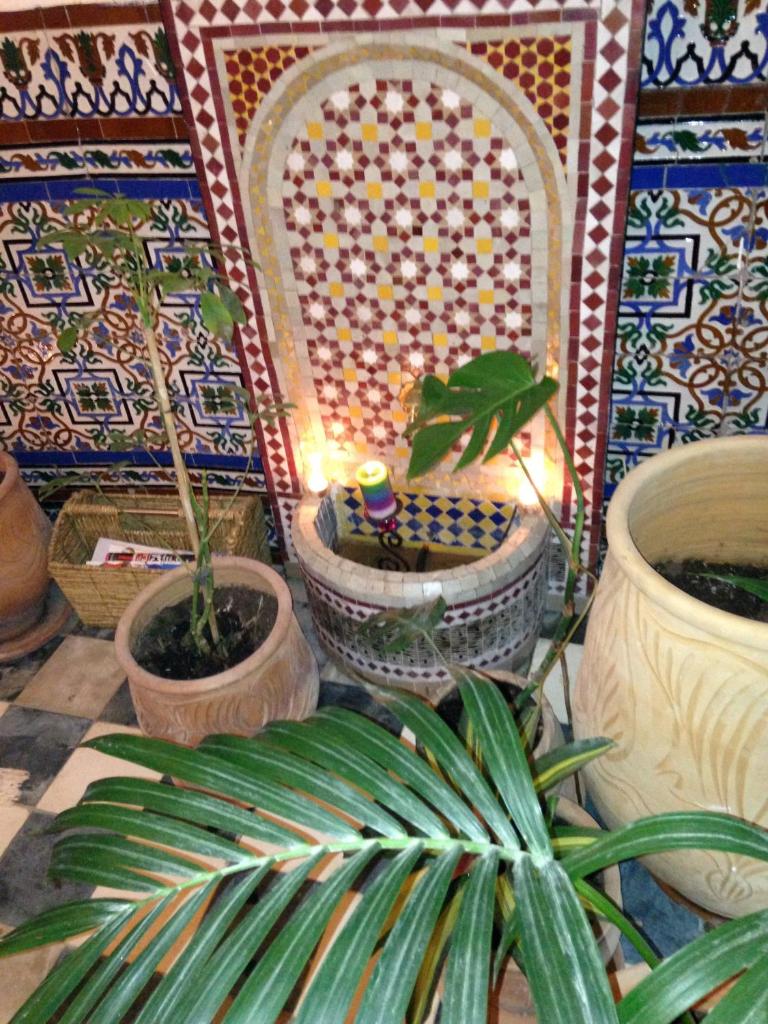 Dar Nakhla Naciria photo 1