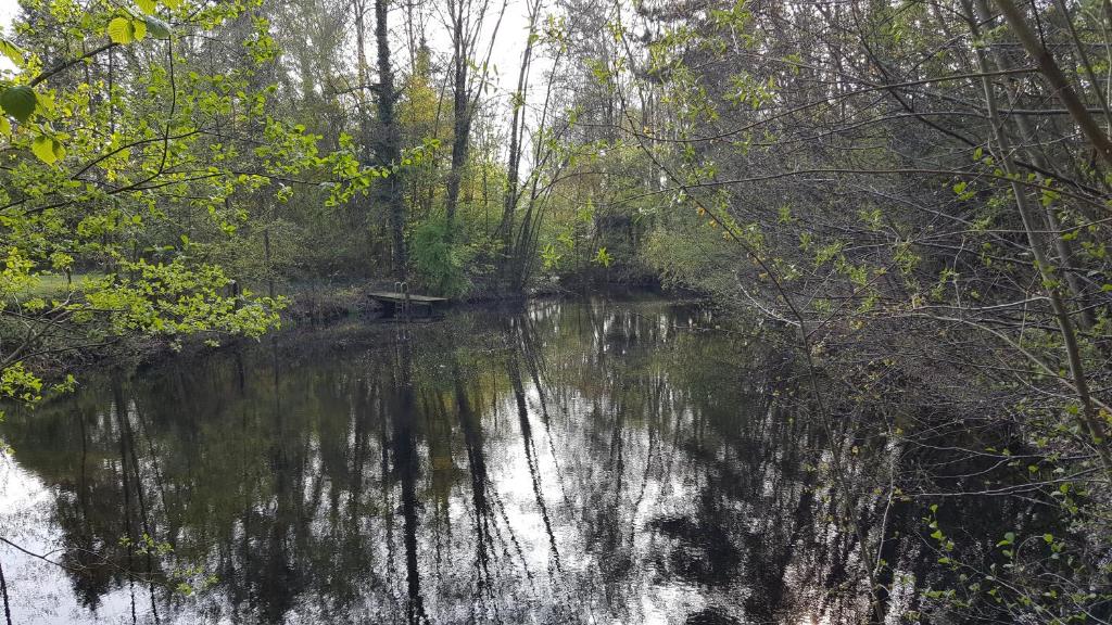 Bauernhof Barlo photo 3