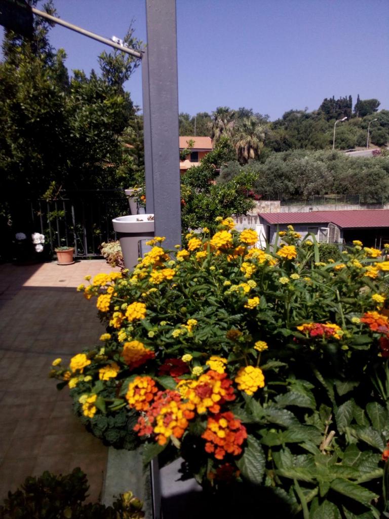 Casa Vacanze Terme photo 4