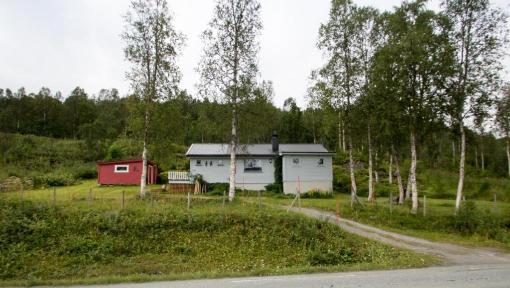 Midt Troms Perle photo 2