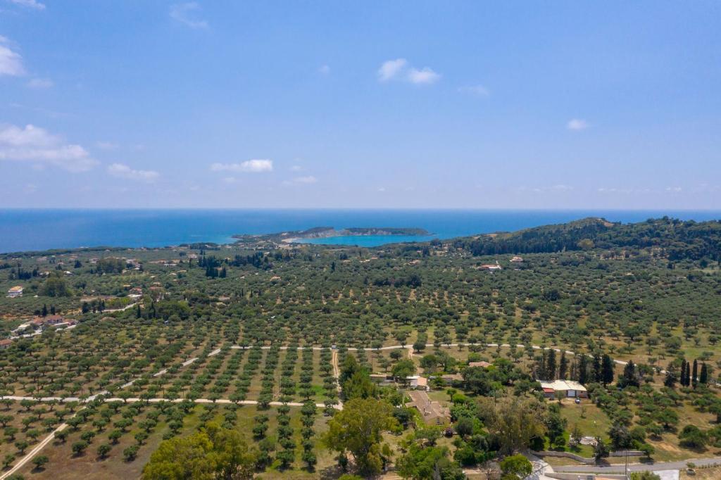 David's Villas photo 2