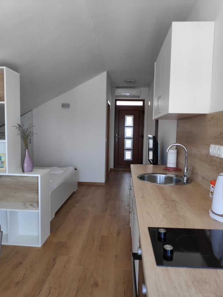 Apartman Anicic photo 3