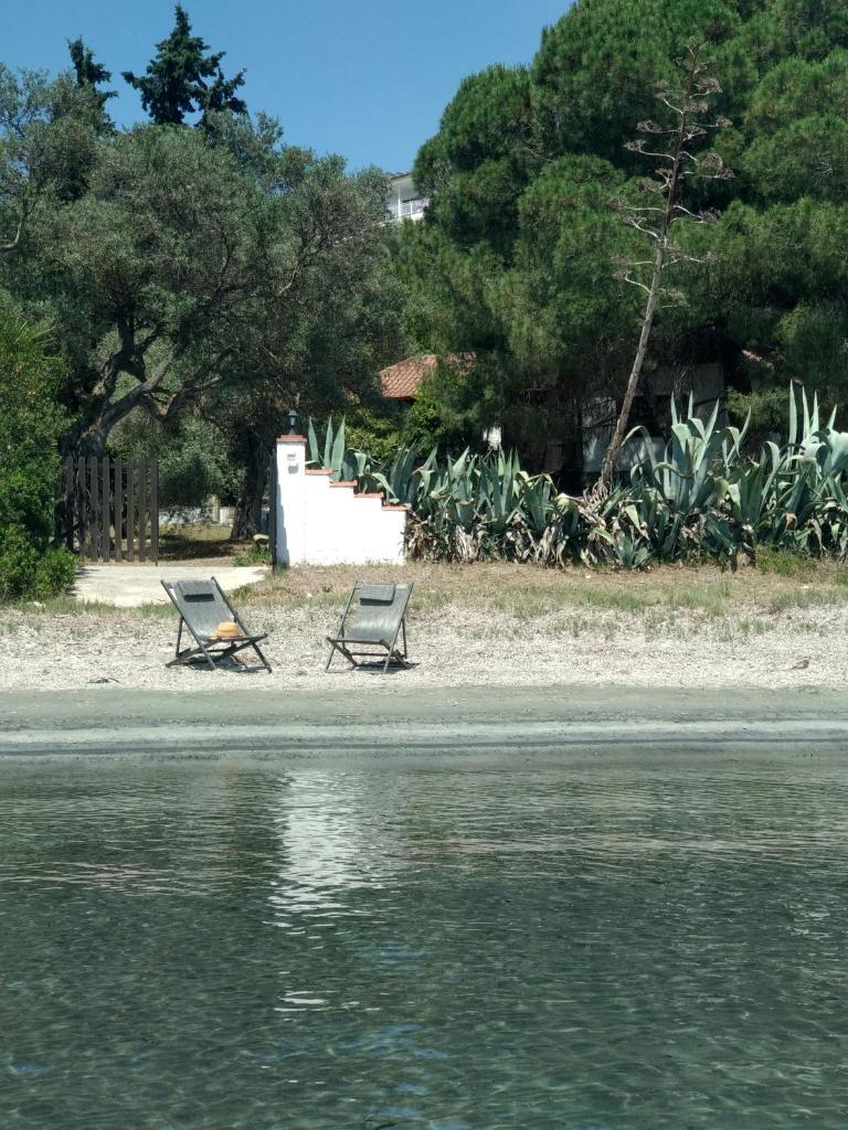 Casa Natura photo 3