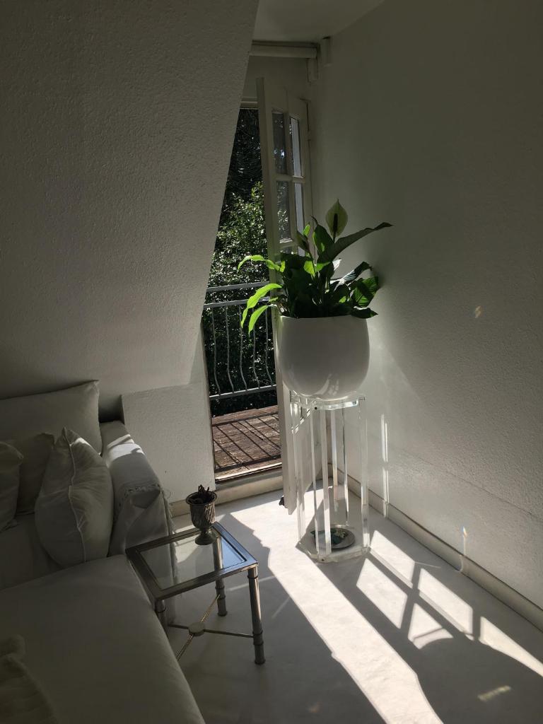 Einfamilienhaus im Landhausstil photo 3