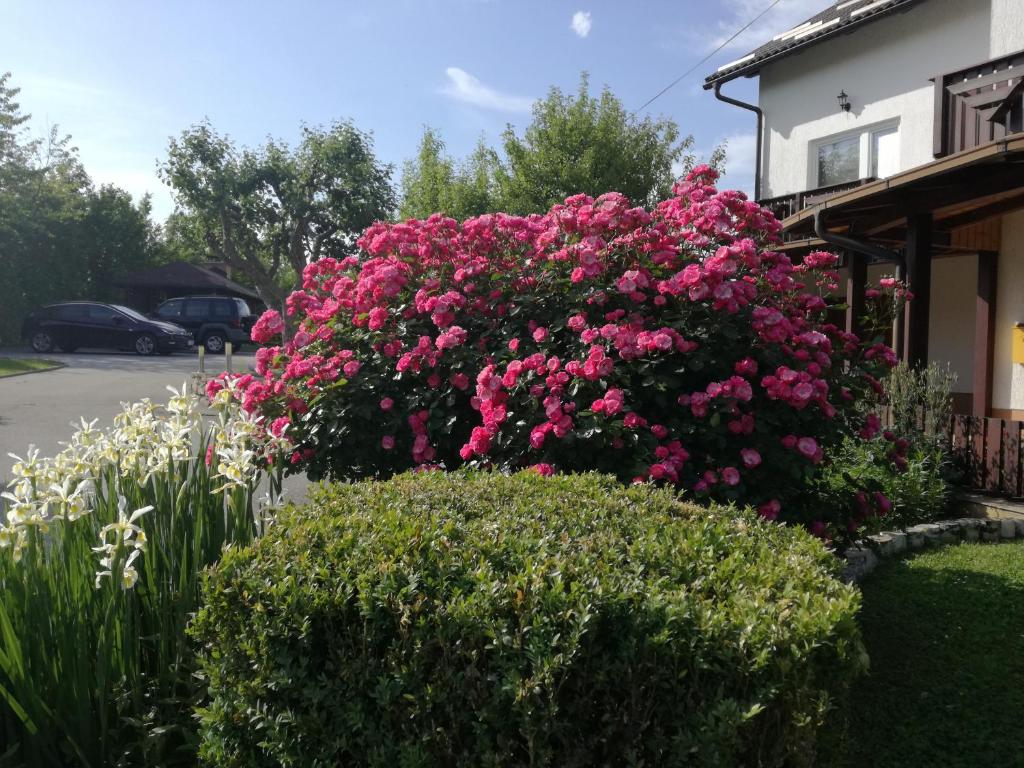 Guesthouse Šebalj photo 3