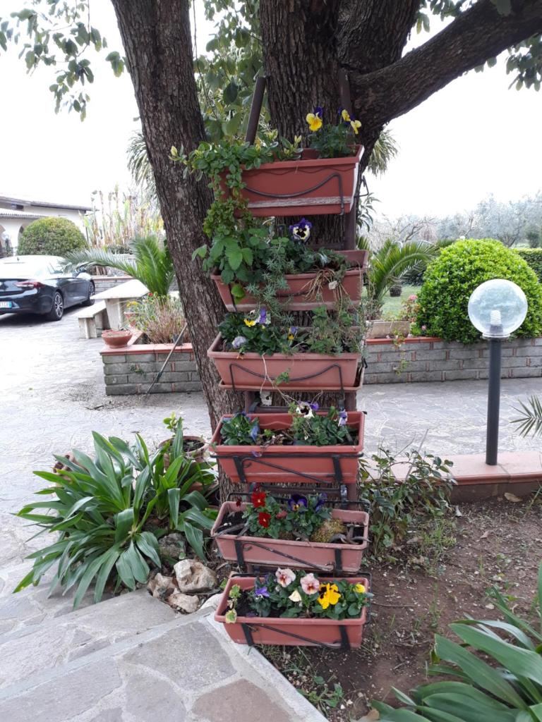 La Camelia B&B photo 3