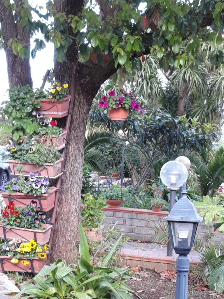La Camelia B&B photo 1