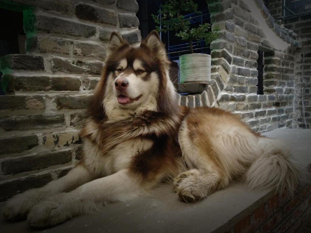 Guixu Huatang Homestay photo 4