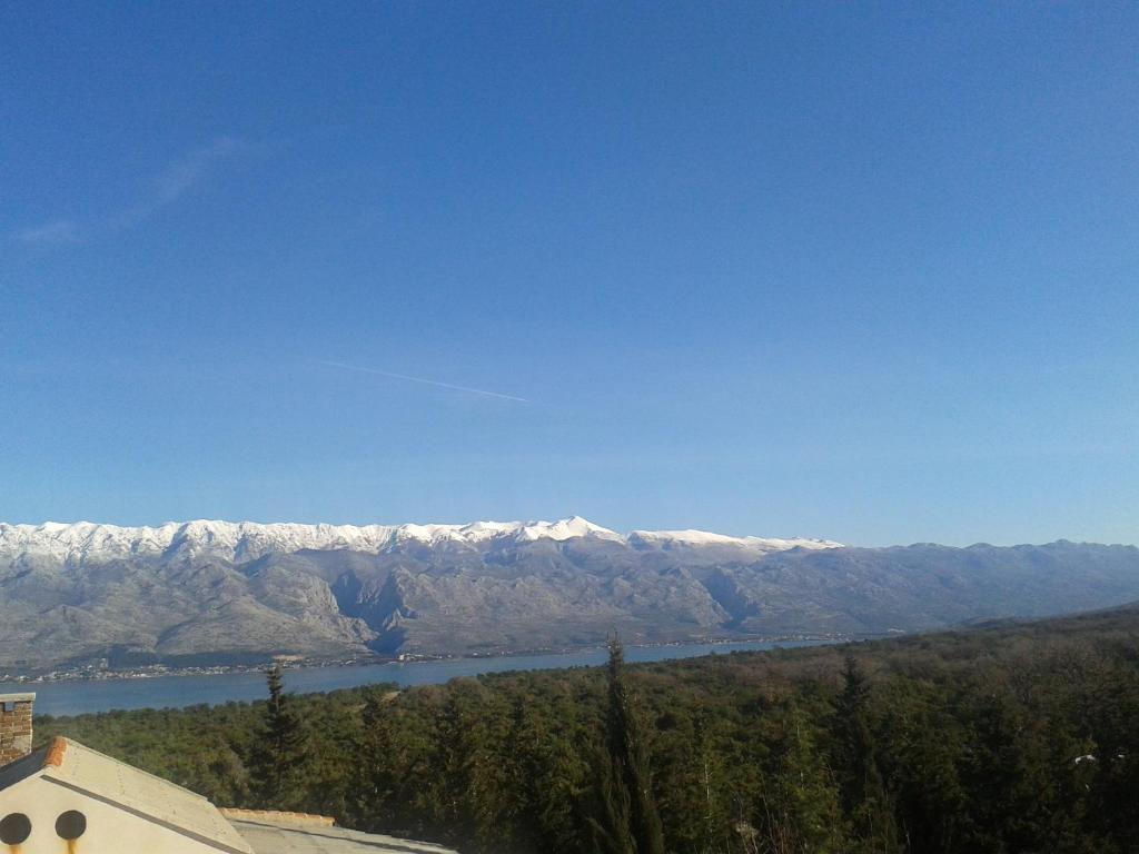 Apartman Ana photo 3